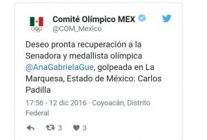 TOLUCA ANA GABRIELA GUEVARA AGRESIÓN1