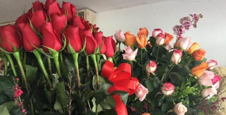 Image result for ROSAS PARA LA GUADALUPANA