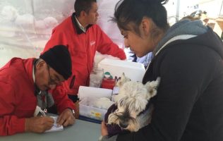 Fomenta Teoloyucan la responsabilidad animal con jornada de esterilización