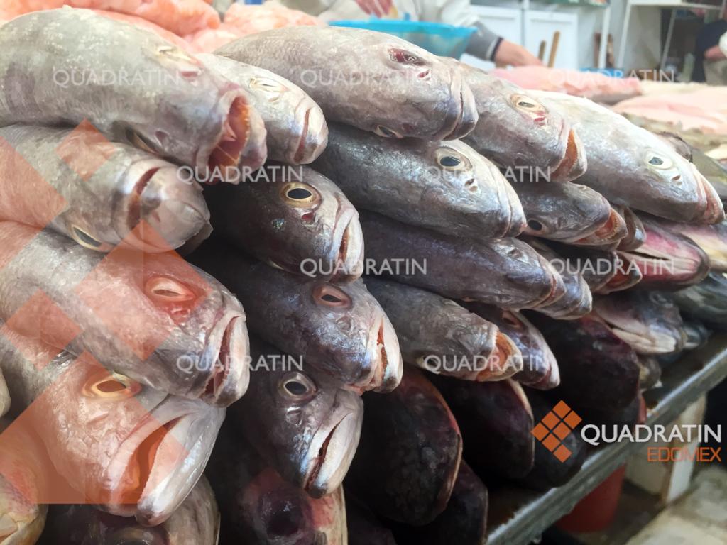 Emiten recomendaciones para el consumo de pescado en Semana Santa