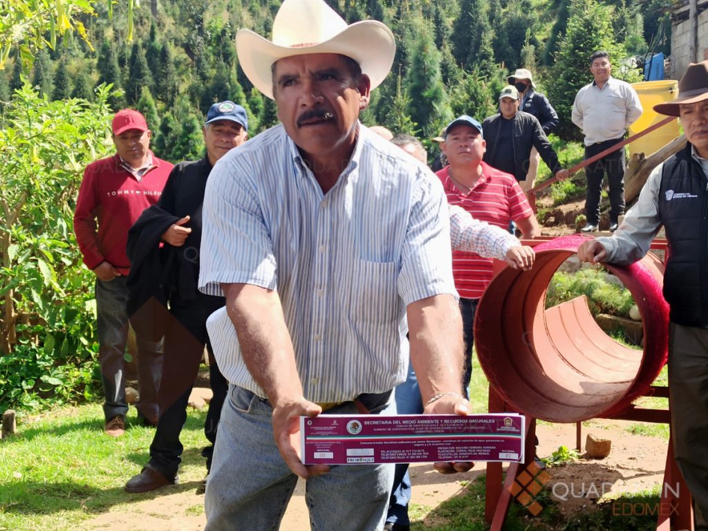 Producción de árboles de Navidad, actividad legal y sustentable