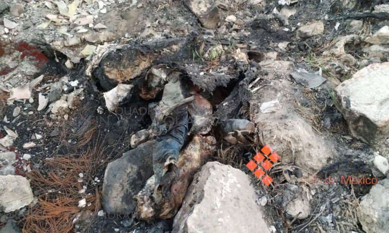 Localizan restos humanos en Toluca; jauría rasgaba ropa de la víctima