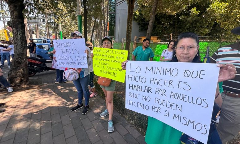 Activistas en Toluca exigen acciones inmediatas contra maltrato animal