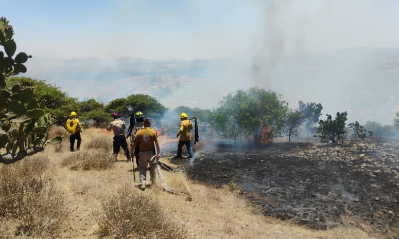 Apagan llamas Protección Civil y Bomberos en Tlalnepantla y Tepotzotlán