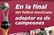 Pondrán en adopción a lomitos en el Toluca vs América