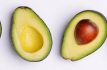 Conquista aguacate de Temascaltepec a EU y al mundo, ¿su secreto?