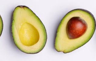 Conquista aguacate de Temascaltepec a EU y al mundo, ¿su secreto?