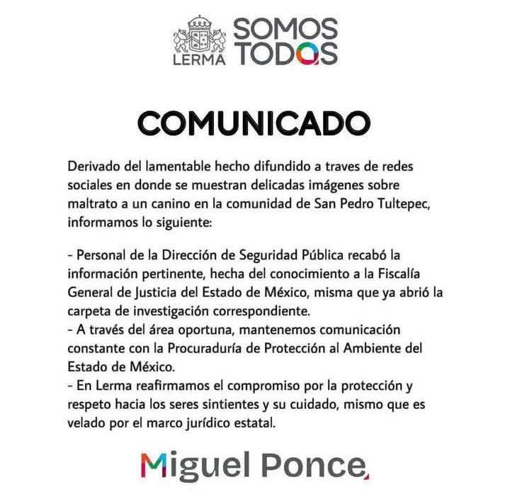 Comunicado sobre el lomito