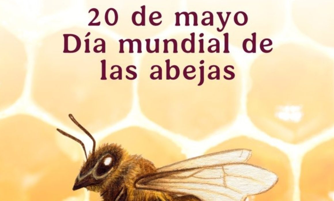 Florece la producción de miel en el Edomex: Día Mundial de las Abejas