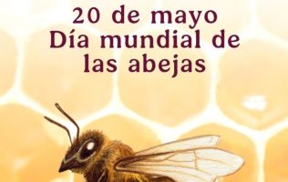 Florece la producción de miel en el Edomex: Día Mundial de las Abejas
