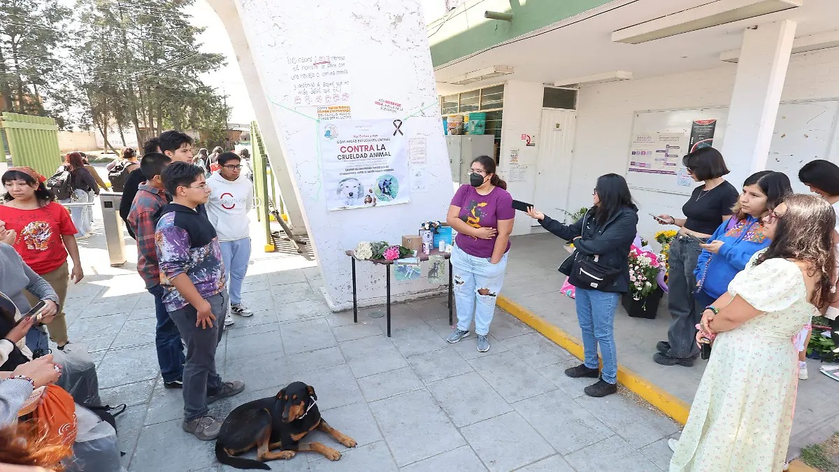 Facultad de Medicina Veterinaria y Zootecnia de la UAEMex
