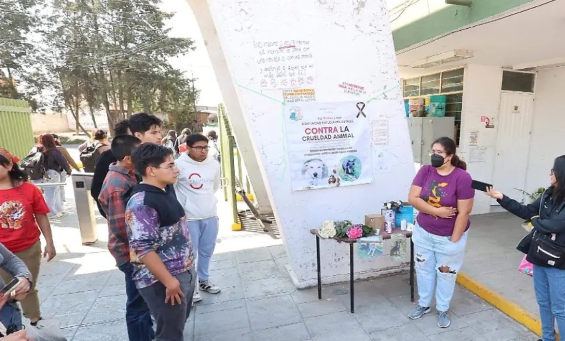 Exigen justicia por envenenamiento de perros en UAEMex