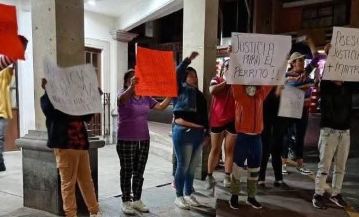 Desviven a palazos a perrito callejero de Lerma
