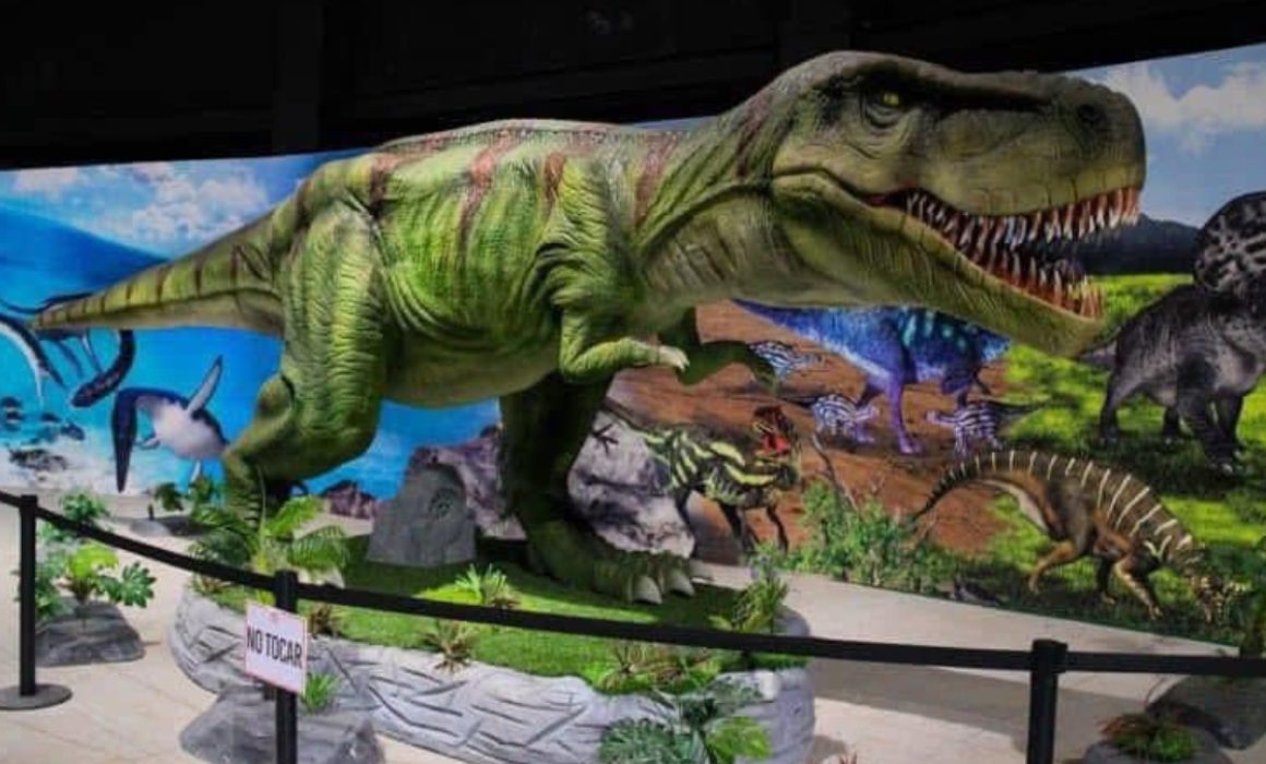 Destaca Edomex a nivel nacional por sus museos