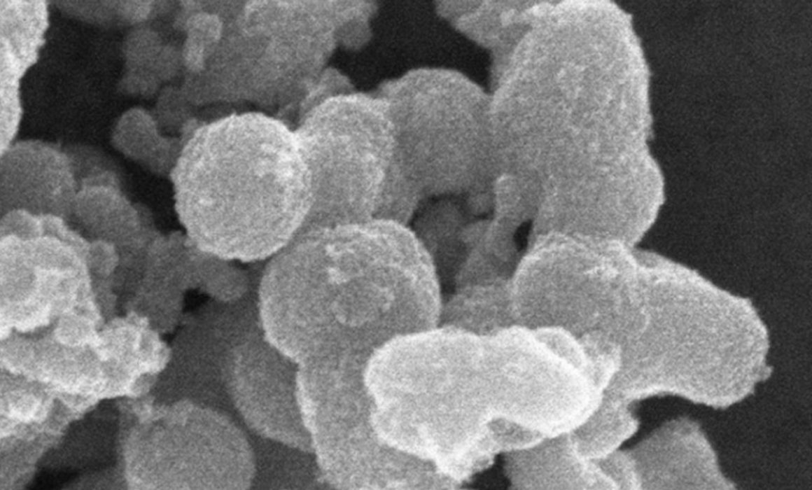 Analiza universidad tratar el Parkinson con nanotecnología