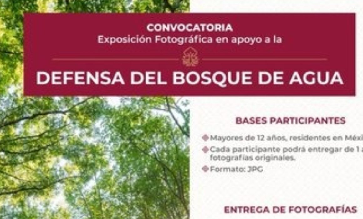 Convoca Naucalpan a participar en exposición fotográfica por el Bosque de Agua