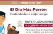 Acercan servicios veterinarios a Naucalpan con jornada gratuita