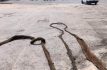 Hallan raíz de 20 metros obstruyendo una tubería en Ecatepec