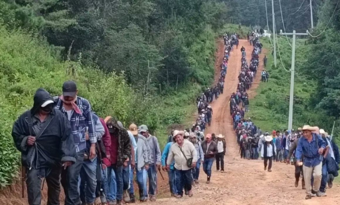 Denuncian esclavitud impuesta por cárteles en Tierra Caliente y Edomex