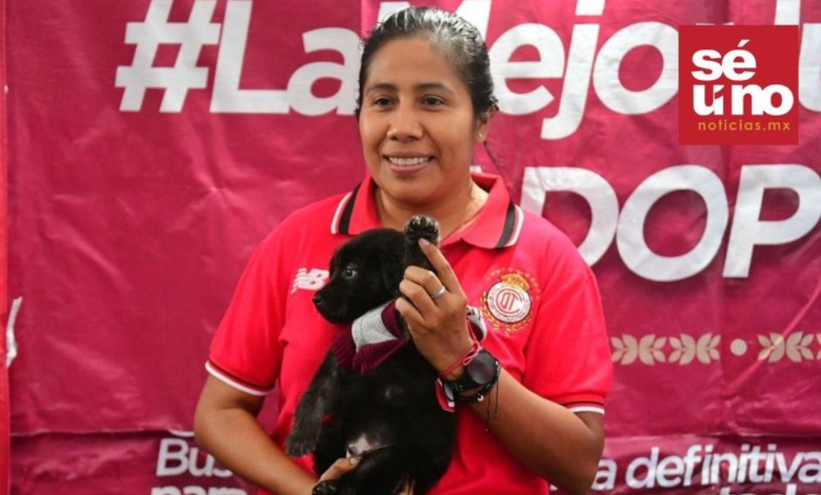 Encuentran familia 85 lomitos en final de futbol en Toluca