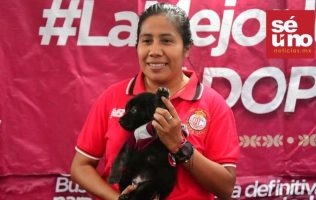 Encuentran familia 85 lomitos en final de futbol en Toluca