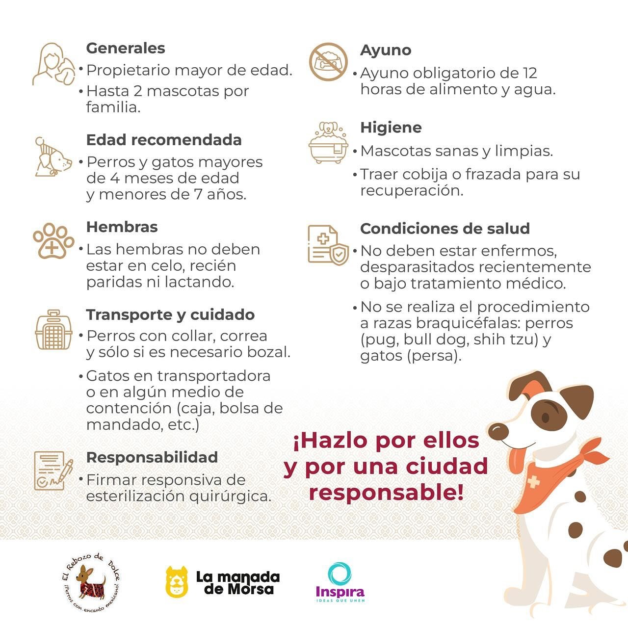 Acercan servicios veterinarios a Naucalpan con jornada gratuita
