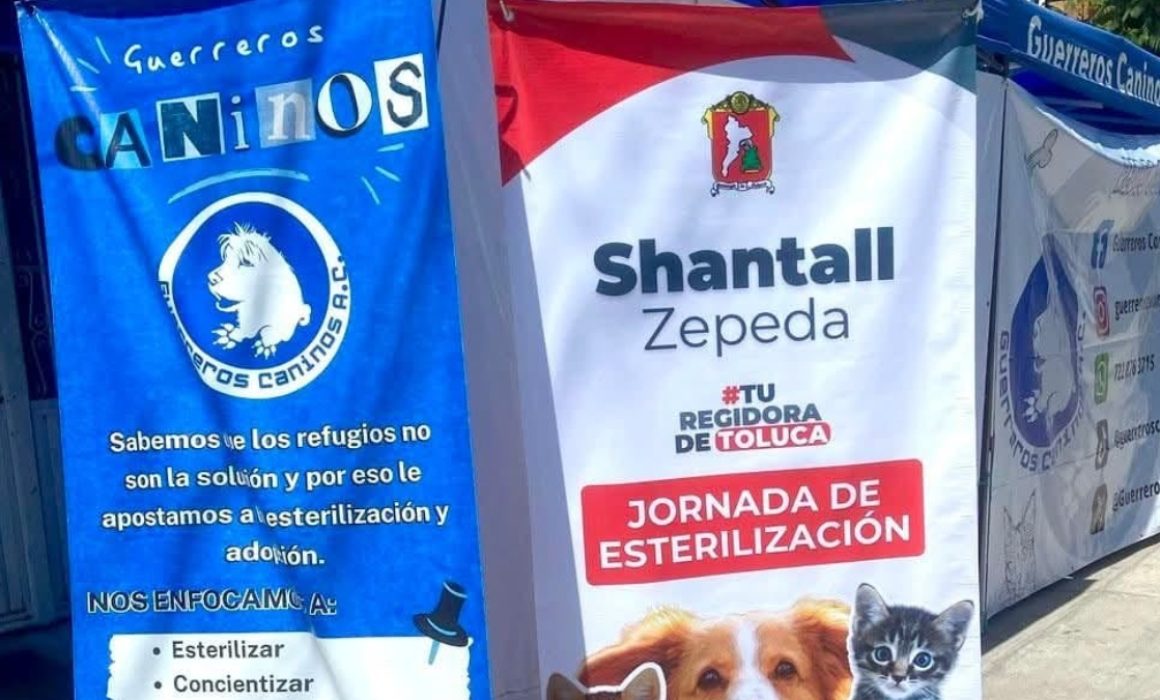 Ofrecen en Toluca servicios veterinarios para tu mascota a bajos costos