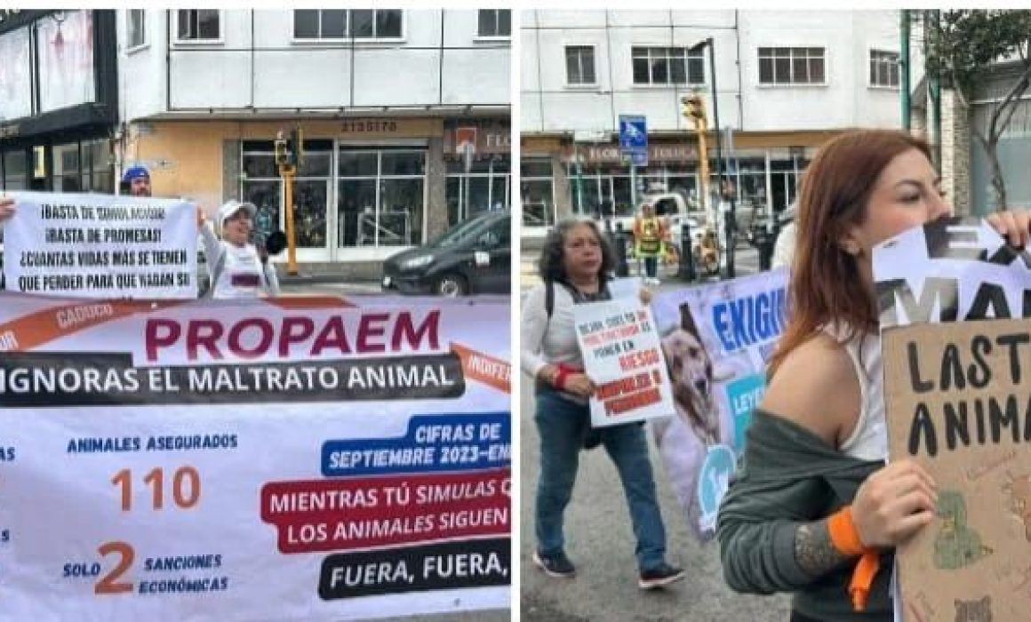 Activistas piden desaparecer PROPAEM tras casos de maltrato animal