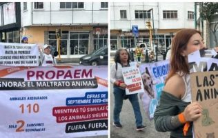 Activistas piden desaparecer PROPAEM tras casos de maltrato animal