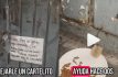 Piden apoyo para rescatar a gatito encerrado en bodega de Ecatepec