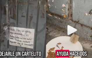 Piden apoyo para rescatar a gatito encerrado en bodega de Ecatepec