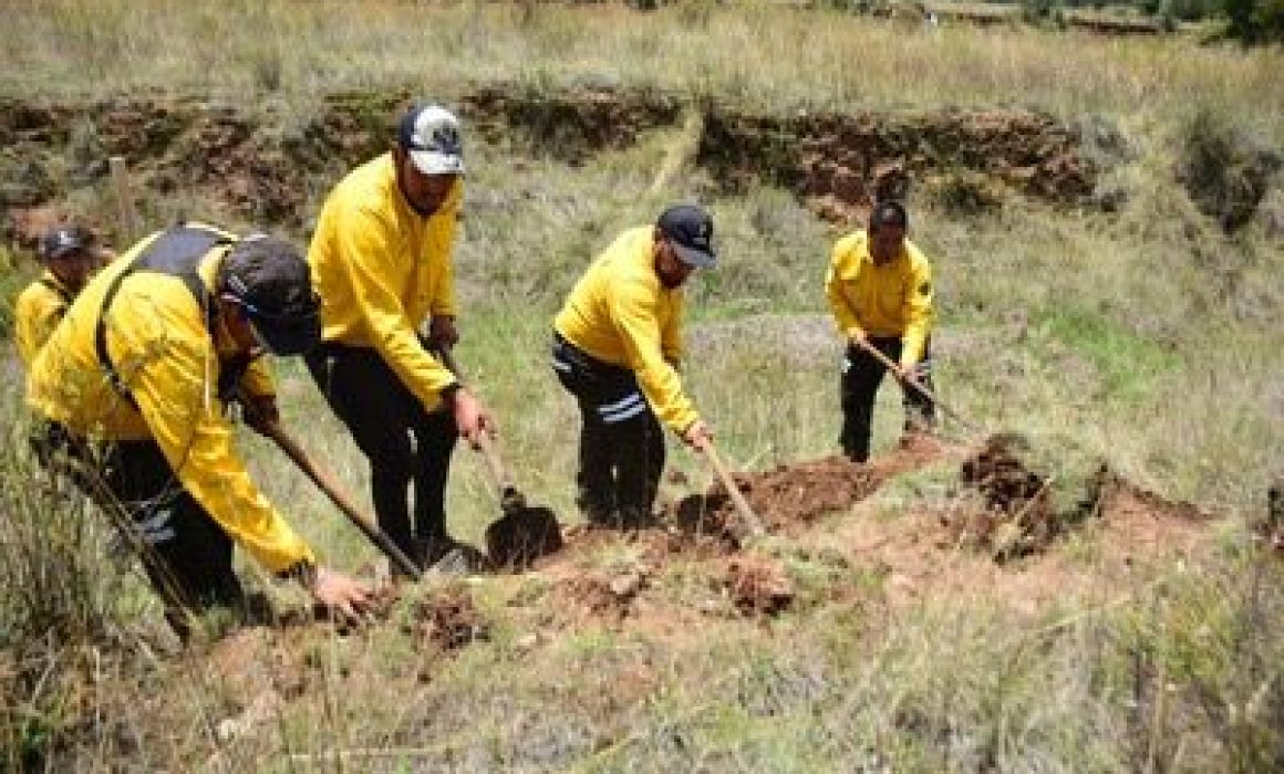 Capacita Probosque para revertir daño ecológico en bosques de Temoaya