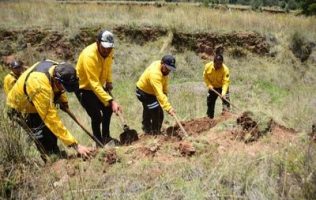 Capacita Probosque para revertir daño ecológico en bosques de Temoaya