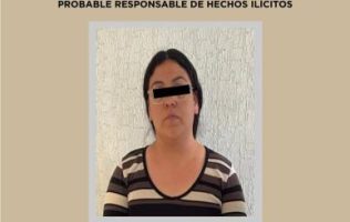 Chocó con una patrulla, huyó, quiso sobornar a los policías y fue detenida