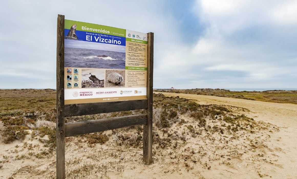 Conoce a Reserva Natura: una opción sustentable para el turismo en México