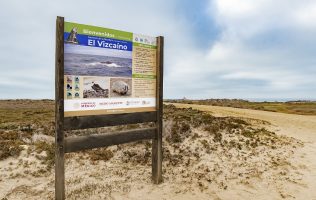 Conoce a Reserva Natura: una opción sustentable para el turismo en México