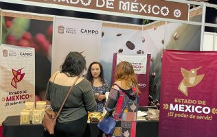 Consolida Delfina Gómez café mexiquense, se vende en Japón y Corea del Sur