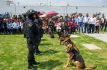 Descarta CEPANAF maltrato a unidad canina de Chimalhuacán Edomex