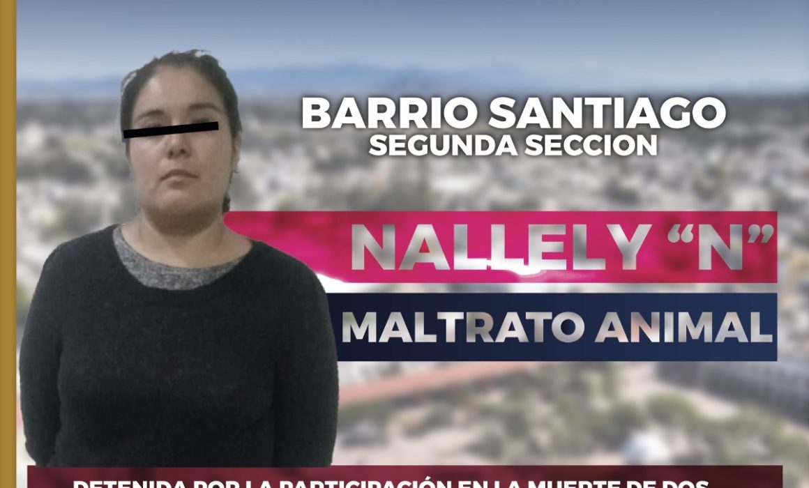 Detienen a Nallely N por maltrato animal: mató a 2 perros en Zumpango