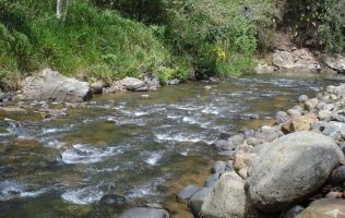 Hallan cadáver de naguas negras