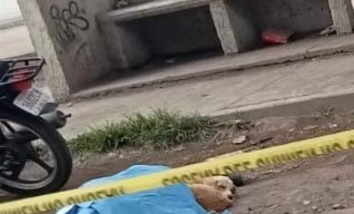 Muere motociclista tras ser arrollado en la carretera Texcoco-Lechería