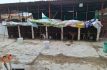 Resguarda Fiscalía Centro de Protección Animal de Ixtapaluca tras presunto maltrato