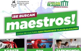 Busca Ayuntamiento de Almoloya de Juárez mano de obra gratis