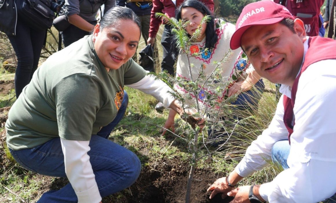 Plantarán más de 450 mil árboles en 24 municipios de Edomex