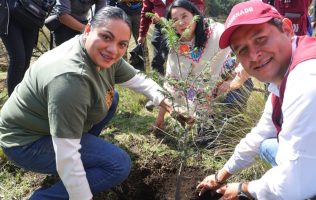 Plantarán más de 450 mil árboles en 24 municipios de Edomex