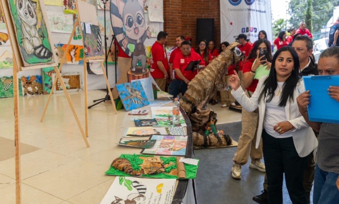 Buscan conservar al cacomixtle a través de concursos de dibujo
