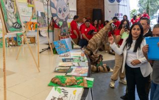 Buscan conservar al cacomixtle a través de concursos de dibujo