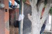 Sorprenden a sujetos quebrantando sellos en casa custodia de la FGJEM