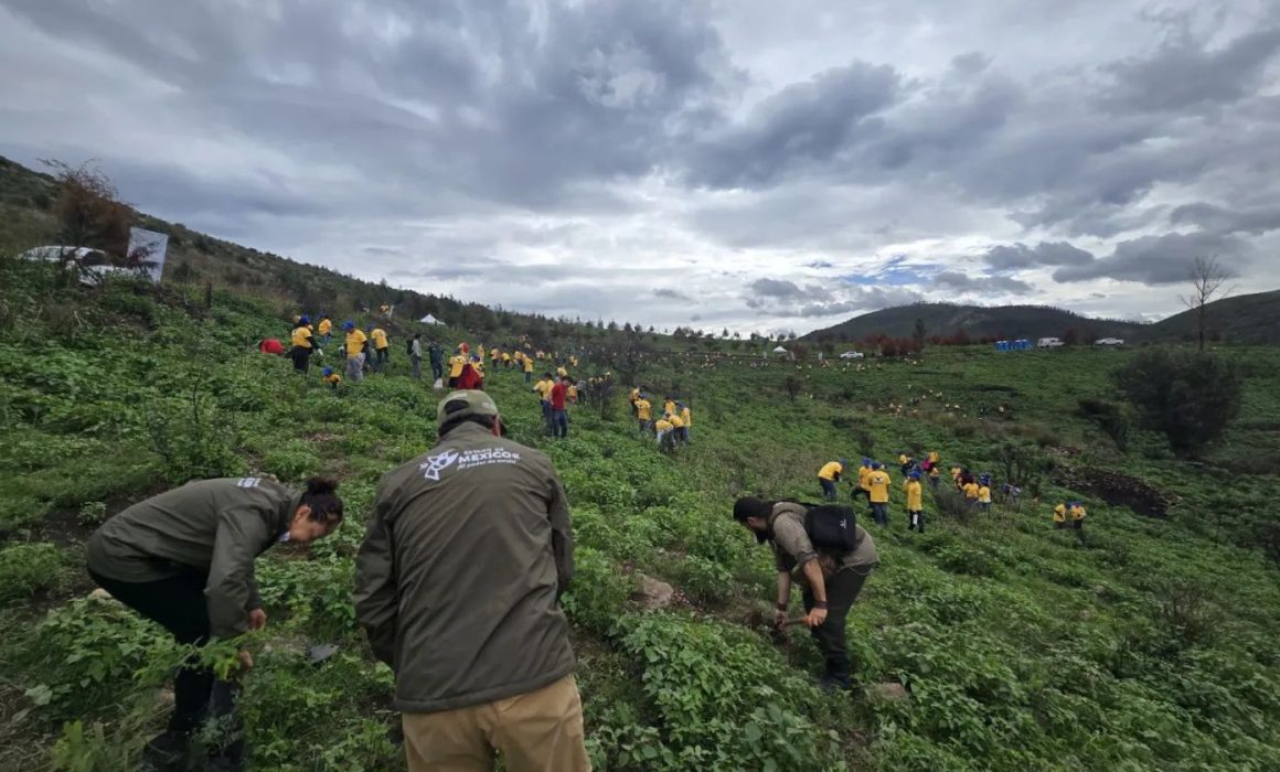 Celebra Edomex el Día del Árbol y reforesta para asegurar su patrimonio natural