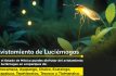 Vive la magia nocturna: ¿Dónde ver luciérnagas en el Estado de México?